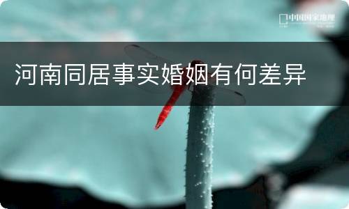 河南同居事实婚姻有何差异