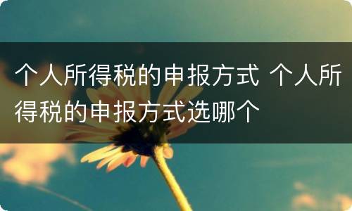 个人所得税的申报方式 个人所得税的申报方式选哪个