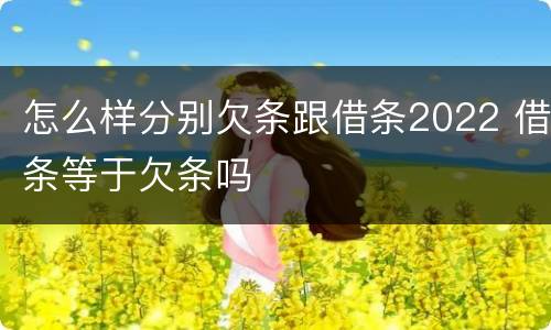 怎么样分别欠条跟借条2022 借条等于欠条吗