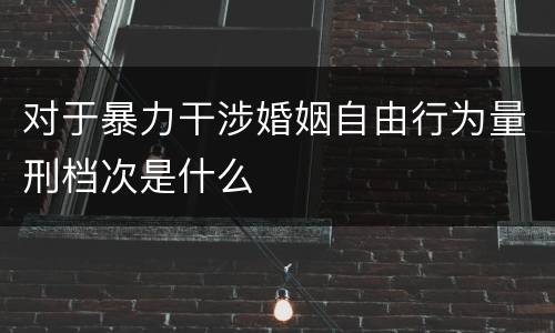 对于暴力干涉婚姻自由行为量刑档次是什么