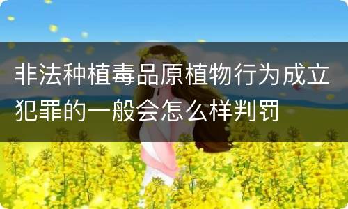 非法种植毒品原植物行为成立犯罪的一般会怎么样判罚