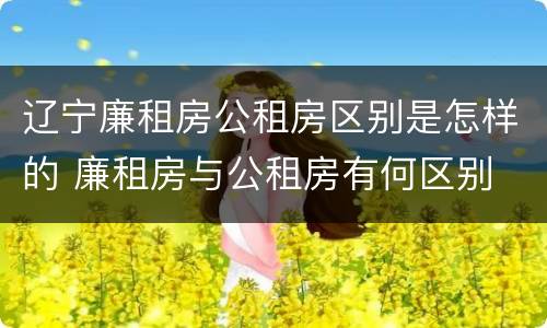 辽宁廉租房公租房区别是怎样的 廉租房与公租房有何区别