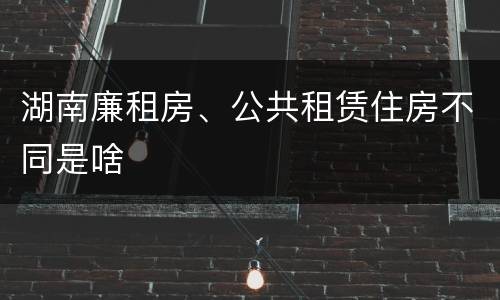 湖南廉租房、公共租赁住房不同是啥