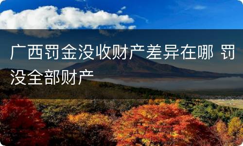 广西罚金没收财产差异在哪 罚没全部财产