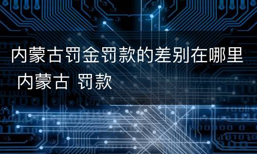 内蒙古罚金罚款的差别在哪里 内蒙古 罚款