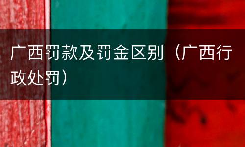 广西罚款及罚金区别（广西行政处罚）