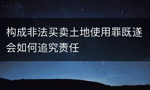 构成非法买卖土地使用罪既遂会如何追究责任