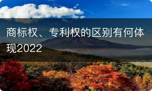 商标权、专利权的区别有何体现2022