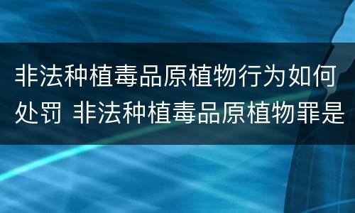 非法种植毒品原植物行为如何处罚 非法种植毒品原植物罪是什么犯罪类型