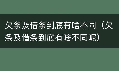 欠条及借条到底有啥不同（欠条及借条到底有啥不同呢）
