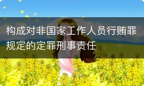 构成对非国家工作人员行贿罪规定的定罪刑事责任