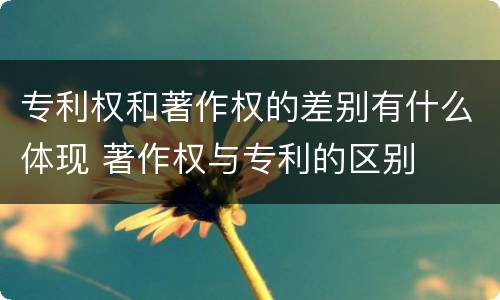 专利权和著作权的差别有什么体现 著作权与专利的区别