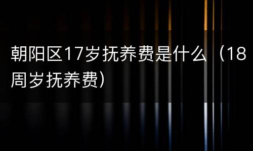 朝阳区17岁抚养费是什么（18周岁抚养费）