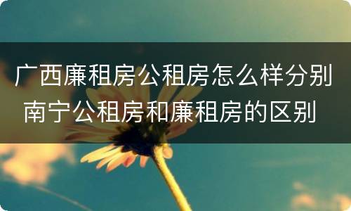 广西廉租房公租房怎么样分别 南宁公租房和廉租房的区别