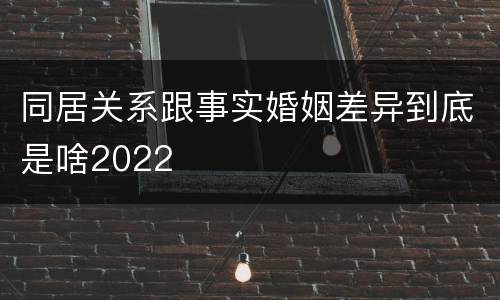 同居关系跟事实婚姻差异到底是啥2022