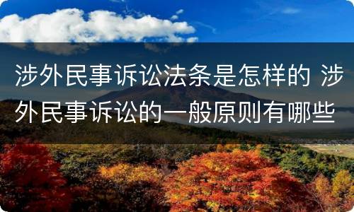 涉外民事诉讼法条是怎样的 涉外民事诉讼的一般原则有哪些
