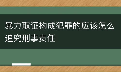 暴力取证构成犯罪的应该怎么追究刑事责任