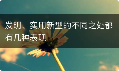 发明、实用新型的不同之处都有几种表现