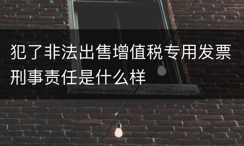 犯了非法出售增值税专用发票刑事责任是什么样
