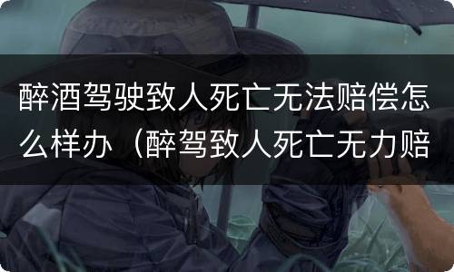 醉酒驾驶致人死亡无法赔偿怎么样办（醉驾致人死亡无力赔偿）