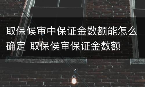 取保候审中保证金数额能怎么确定 取保侯审保证金数额