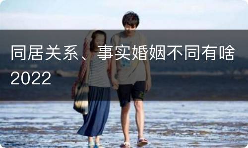 同居关系、事实婚姻不同有啥2022