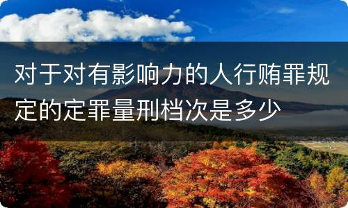 对于对有影响力的人行贿罪规定的定罪量刑档次是多少
