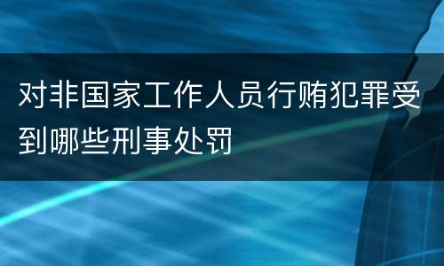 对非国家工作人员行贿犯罪受到哪些刑事处罚