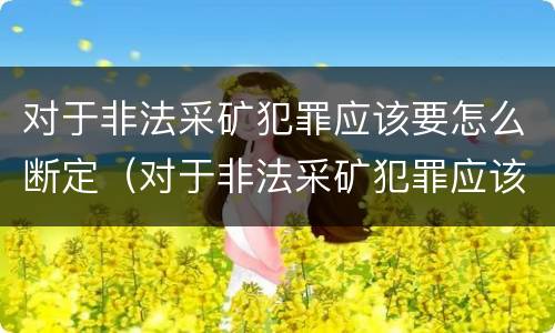 对于非法采矿犯罪应该要怎么断定（对于非法采矿犯罪应该要怎么断定责任）