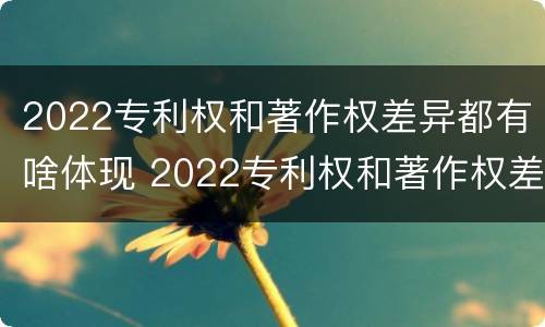 2022专利权和著作权差异都有啥体现 2022专利权和著作权差异都有啥体现呢