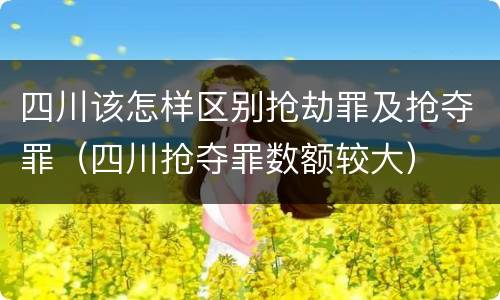 四川该怎样区别抢劫罪及抢夺罪（四川抢夺罪数额较大）