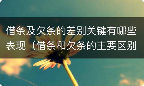 借条及欠条的差别关键有哪些表现（借条和欠条的主要区别）