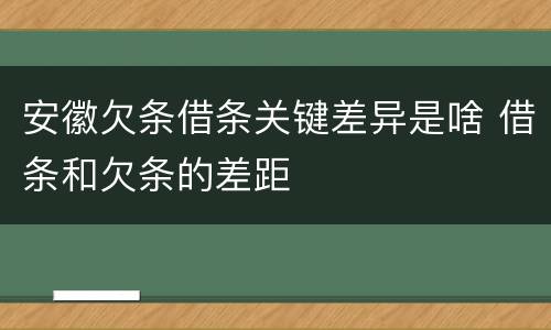 安徽欠条借条关键差异是啥 借条和欠条的差距