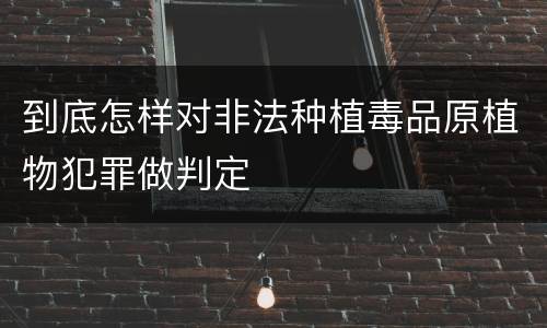 到底怎样对非法种植毒品原植物犯罪做判定