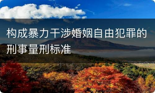 构成暴力干涉婚姻自由犯罪的刑事量刑标准