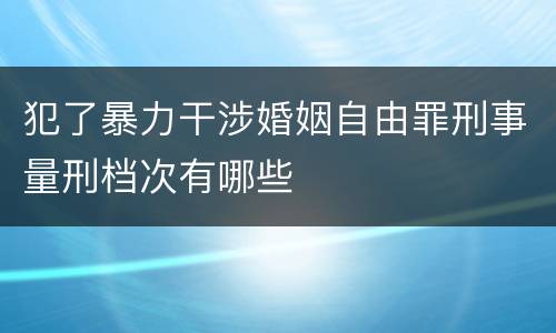犯了暴力干涉婚姻自由罪刑事量刑档次有哪些