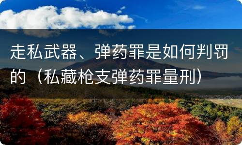 走私武器、弹药罪是如何判罚的（私藏枪支弹药罪量刑）