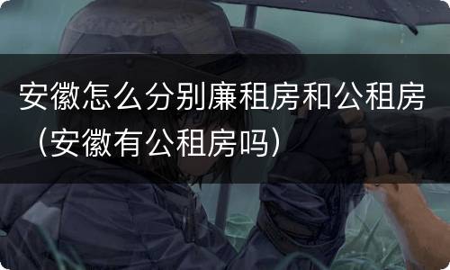 安徽怎么分别廉租房和公租房（安徽有公租房吗）