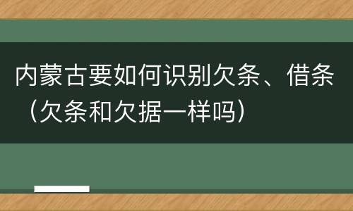 内蒙古要如何识别欠条、借条（欠条和欠据一样吗）