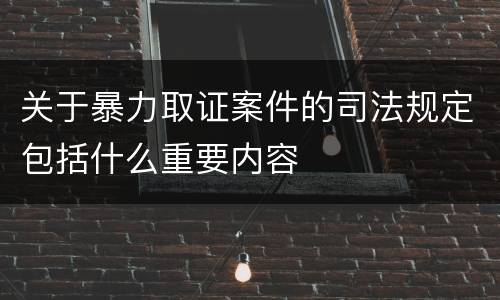 关于暴力取证案件的司法规定包括什么重要内容