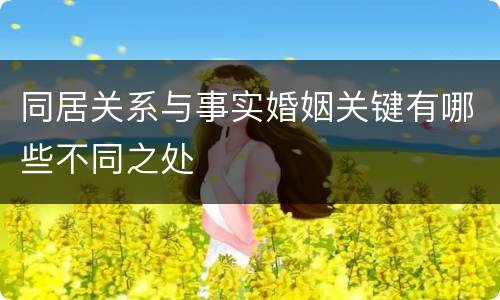 同居关系与事实婚姻关键有哪些不同之处