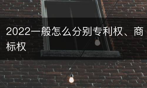 2022一般怎么分别专利权、商标权