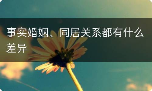 事实婚姻、同居关系都有什么差异