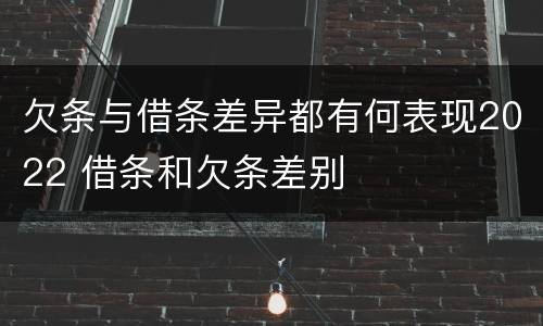 欠条与借条差异都有何表现2022 借条和欠条差别
