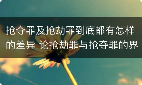 抢夺罪及抢劫罪到底都有怎样的差异 论抢劫罪与抢夺罪的界限