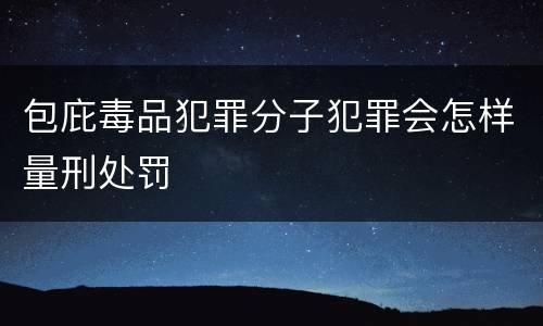 包庇毒品犯罪分子犯罪会怎样量刑处罚
