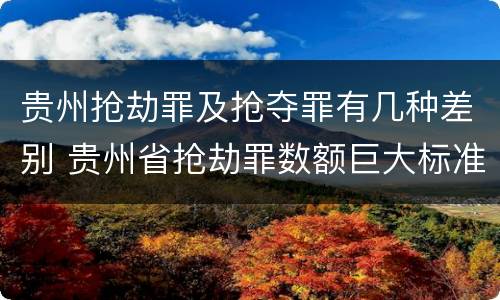 贵州抢劫罪及抢夺罪有几种差别 贵州省抢劫罪数额巨大标准