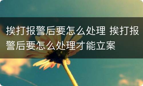 挨打报警后要怎么处理 挨打报警后要怎么处理才能立案