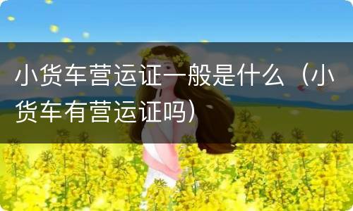 小货车营运证一般是什么（小货车有营运证吗）