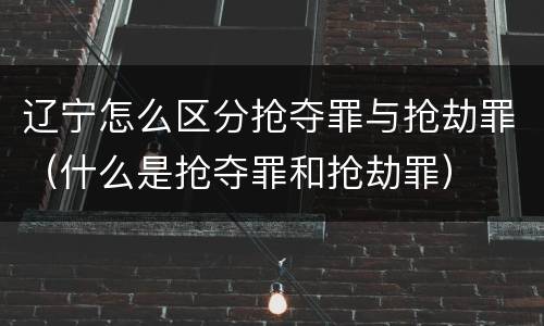 辽宁怎么区分抢夺罪与抢劫罪（什么是抢夺罪和抢劫罪）